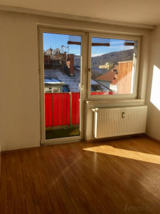 Wohnung zu kaufen: Austeingasse, 8020 Graz - Zugang zum Balkon
