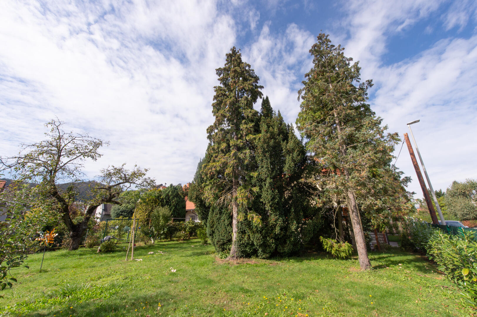 Haus zu kaufen: Ilwofgasse 24, 8052 Graz - Ilwofgasse-43