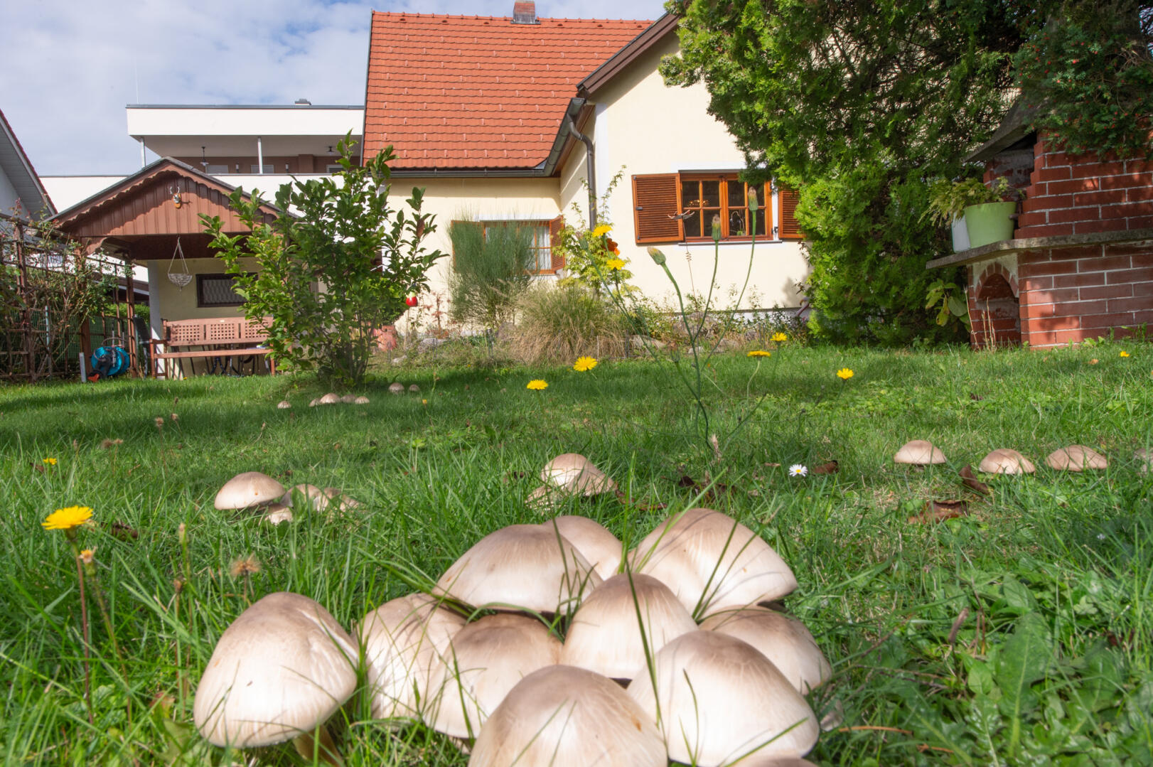 Haus zu kaufen: Ilwofgasse 24, 8052 Graz - Ilwofgasse-44